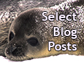 New Section of selected Antarctica Field Blog Posts